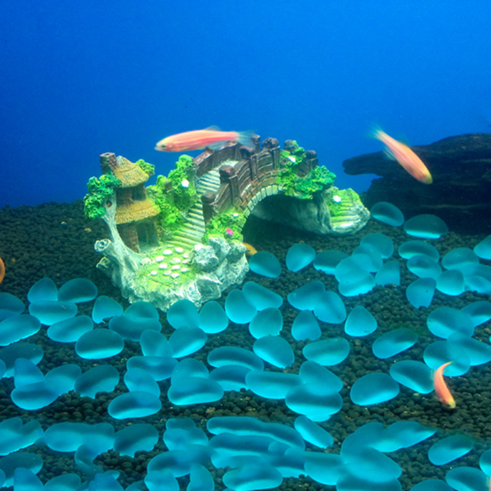 Acessórios para aquário, árvor - Aquarium Fish Tank Price avaliação e preço