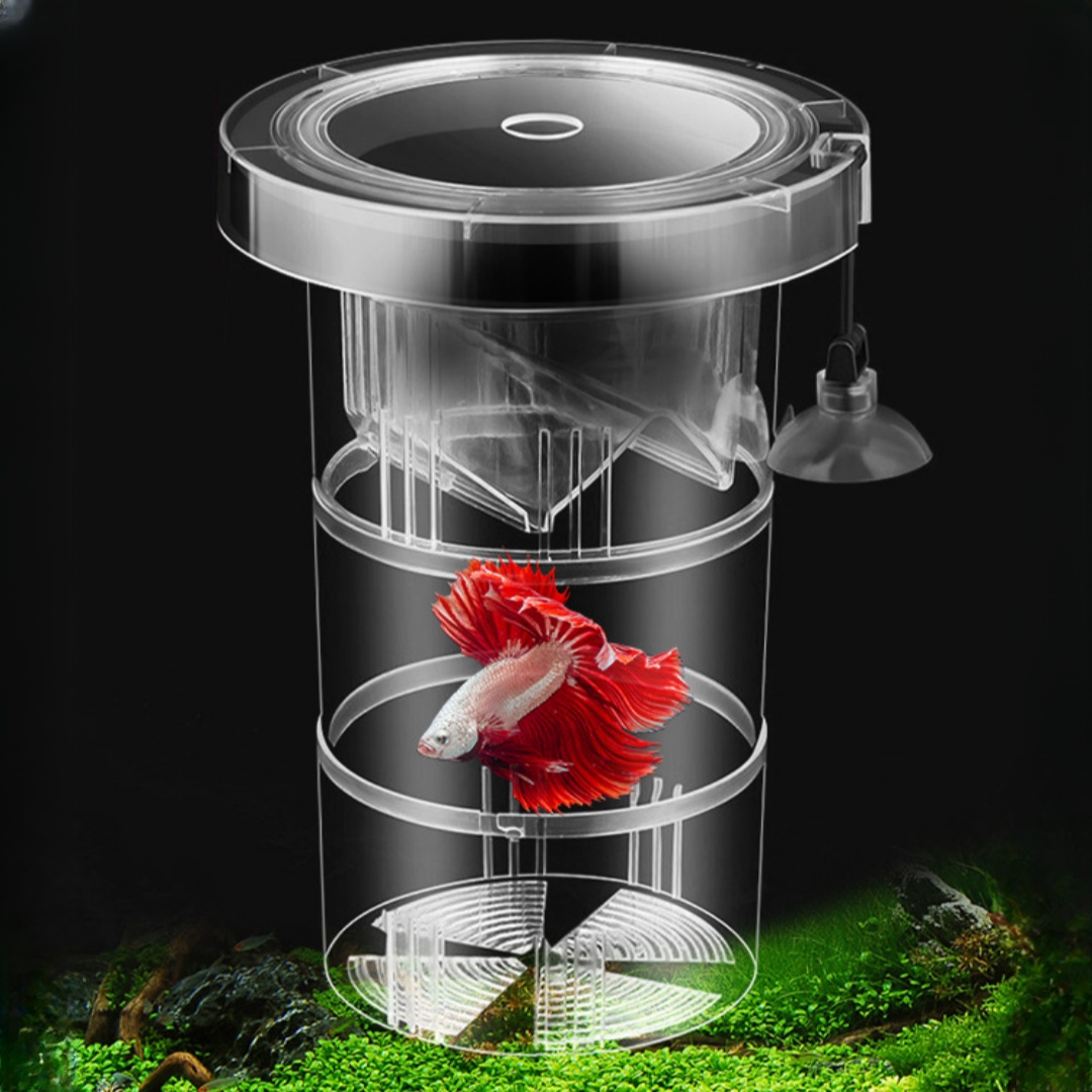 Acrílico flutuante caixa de is - Box Fish In Aquarium avaliação e preço