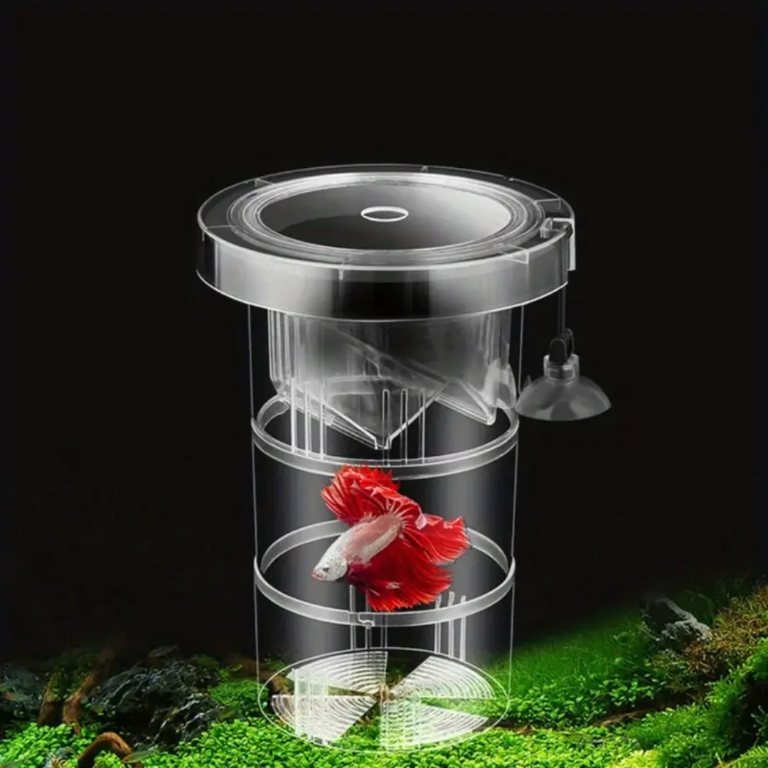 Acrílico flutuante caixa de is - Box Fish In Aquarium avaliação e preço