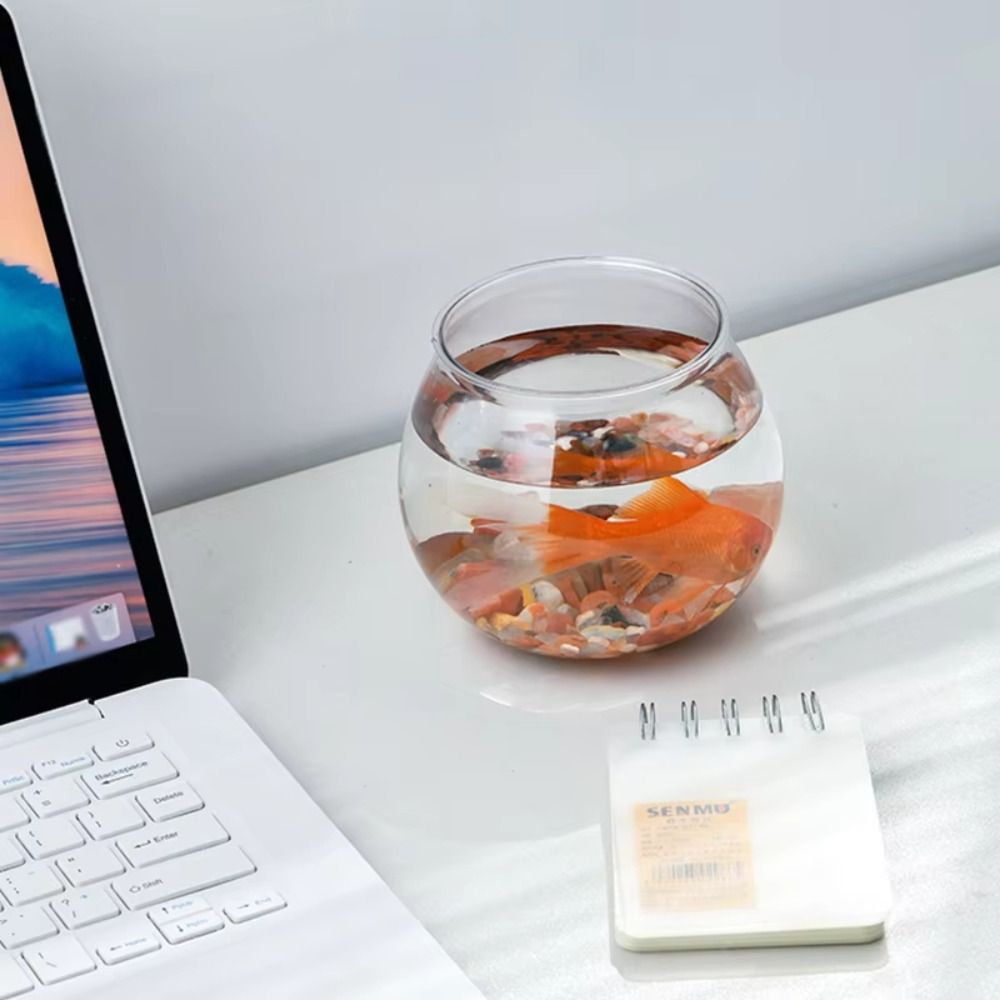 Novo tanque de peixes transpar - Aquarium Goldfish avaliação e preço