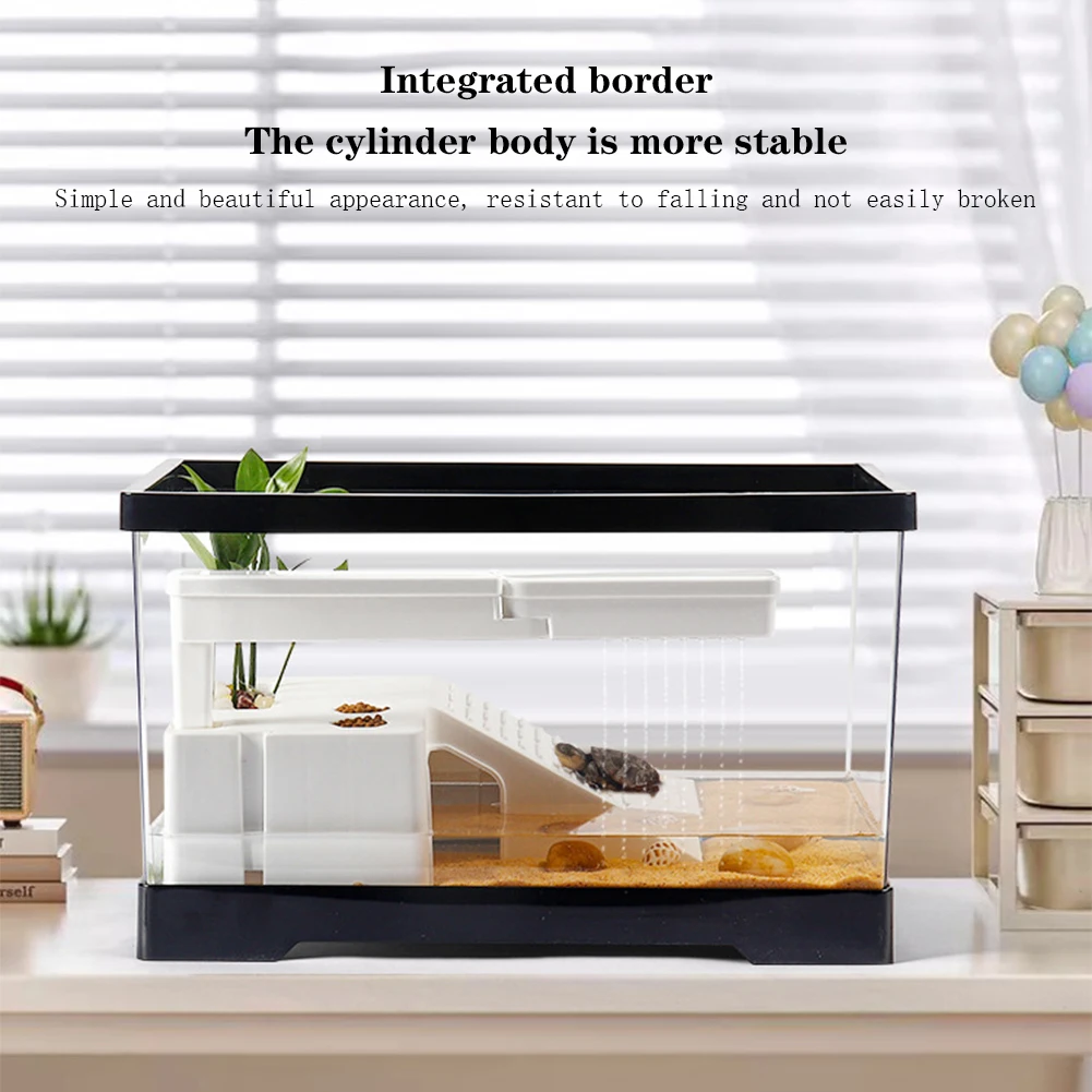 Grande tanque de tartaruga tra - Box Fish In Aquarium avaliação e preço