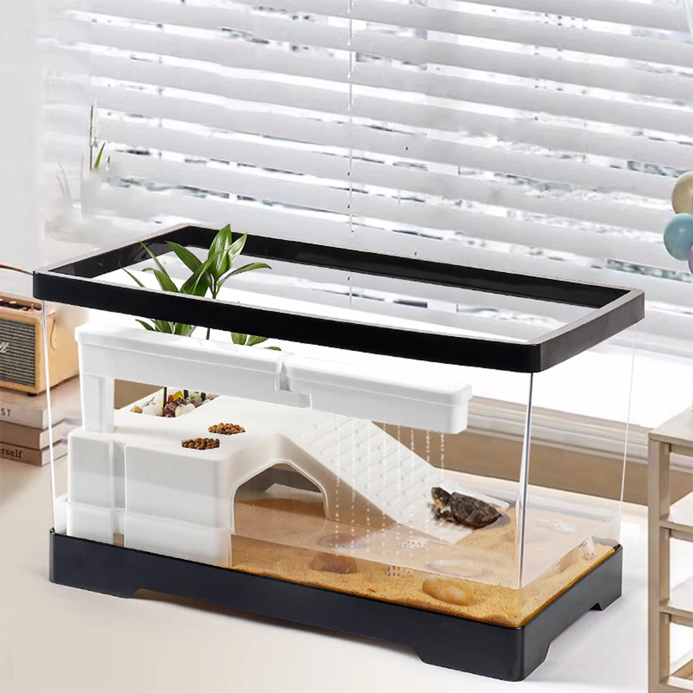 Grande tanque de tartaruga tra - Box Fish In Aquarium avaliação e preço