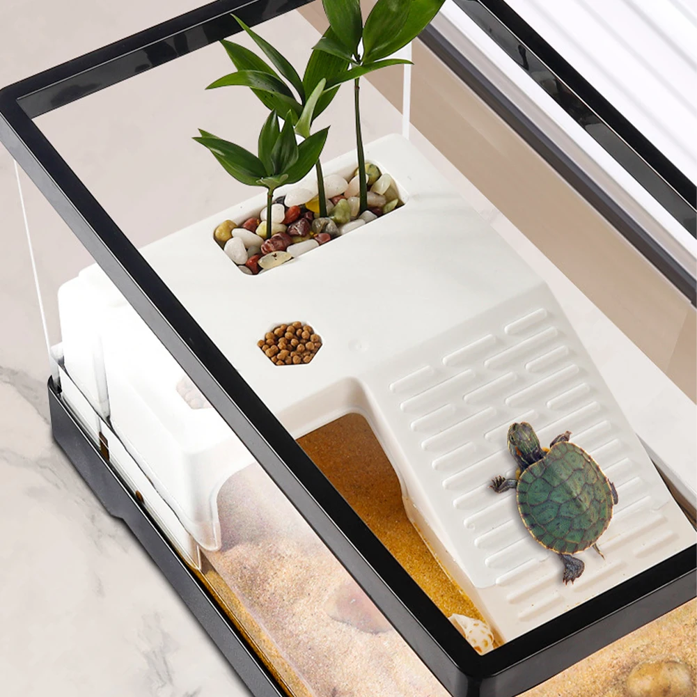 Grande tanque de tartaruga tra - Box Fish In Aquarium avaliação e preço