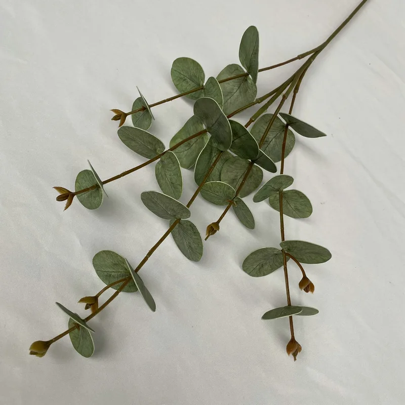 5 Peças de Plantas Verdes Arti - Background Film 3D avaliação e preço